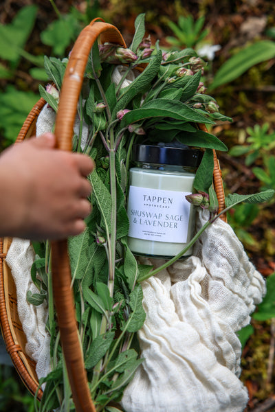 Shuswap Sage and Lavender