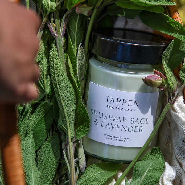 Candle labeled 'Tappen Apothecary Shuswap Sage & Lavender' surrounded by green leaves and fabric.